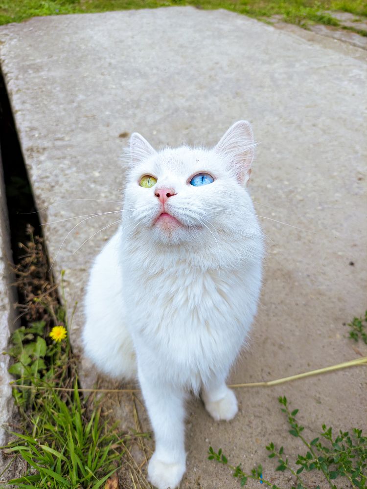 Фотография автора Александр Хухлов