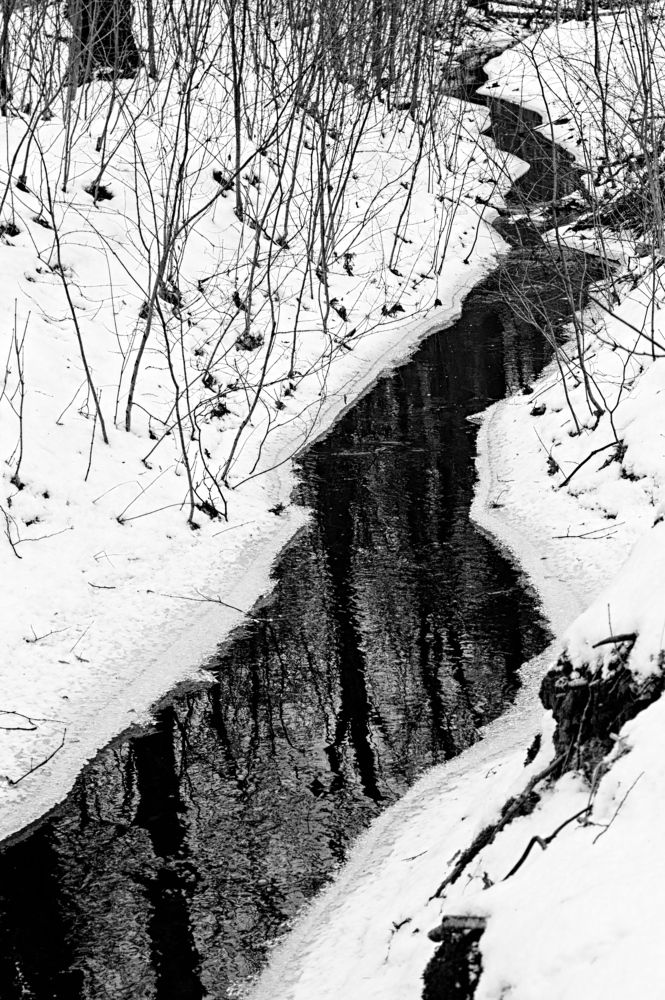 Photograph by Евгений Козлов