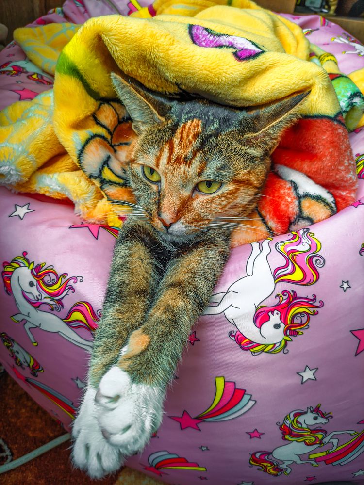 Фотография автора Александр Хухлов