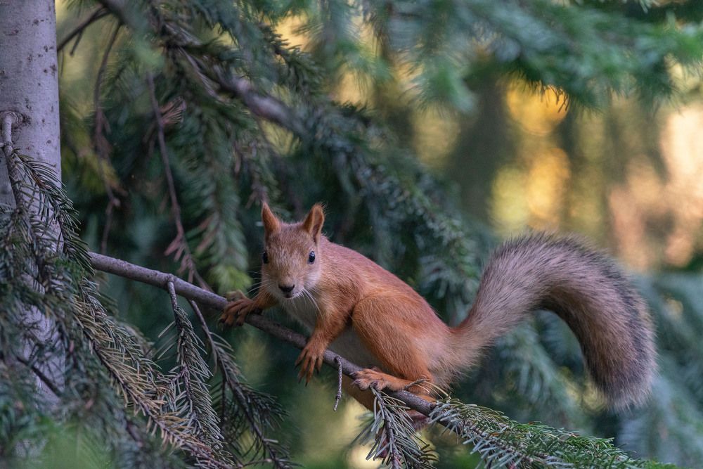 Photograph by Сергей Балашов