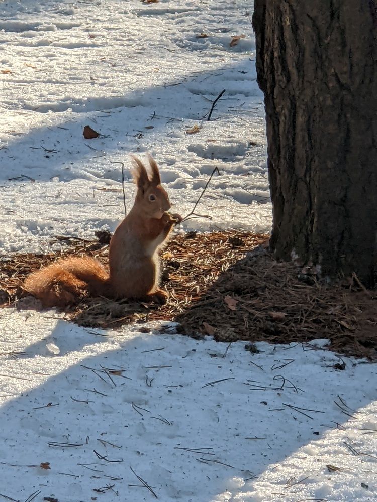 Photograph by Ira Egorova