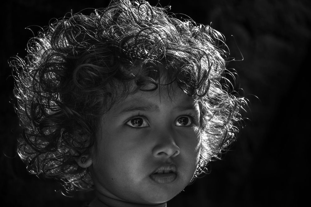 shining little  curly