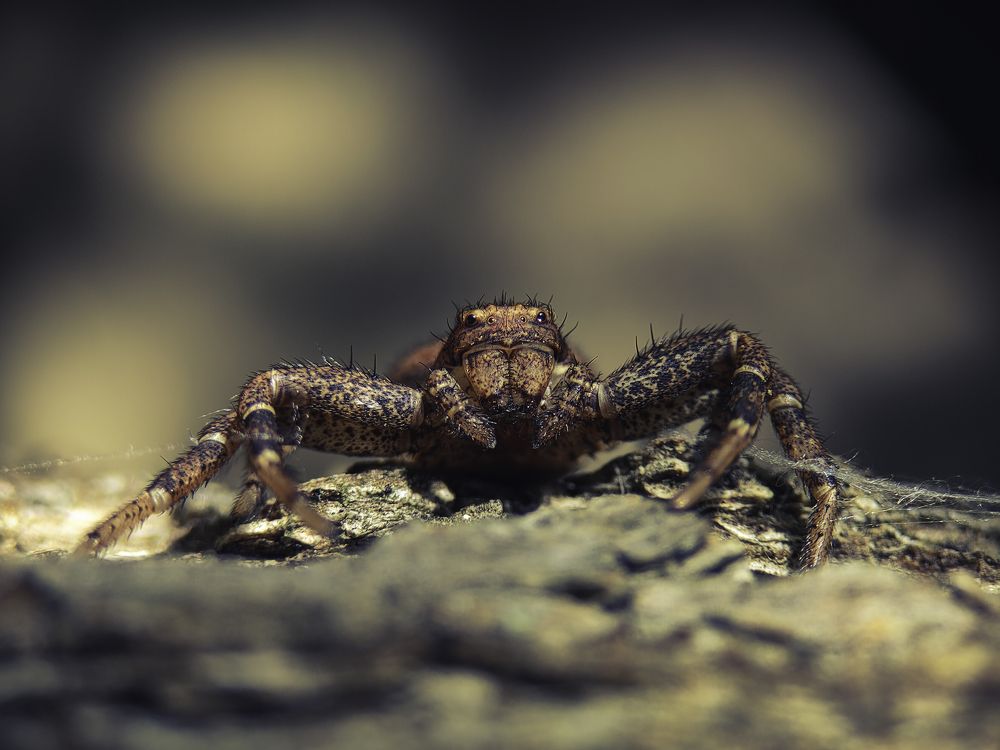 Photograph by Юрий Говорков