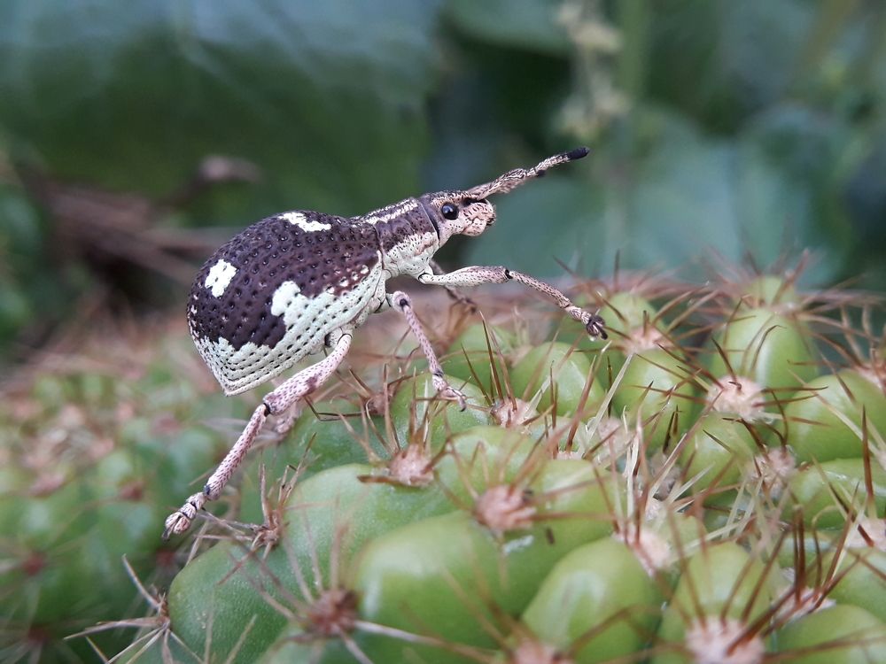 Photograph by Terence Ignatius