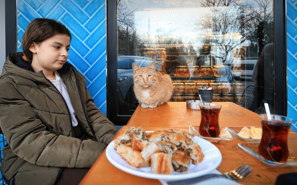 Photograph by Nurlan Tahirli