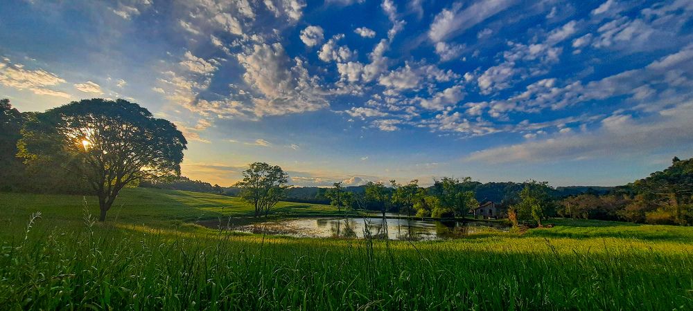 Фотография автора Iara krisna Puntel da Silva