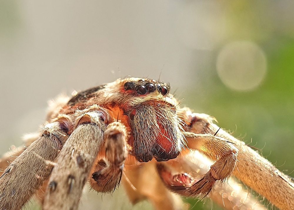 Photograph by NGUYEN LIEN