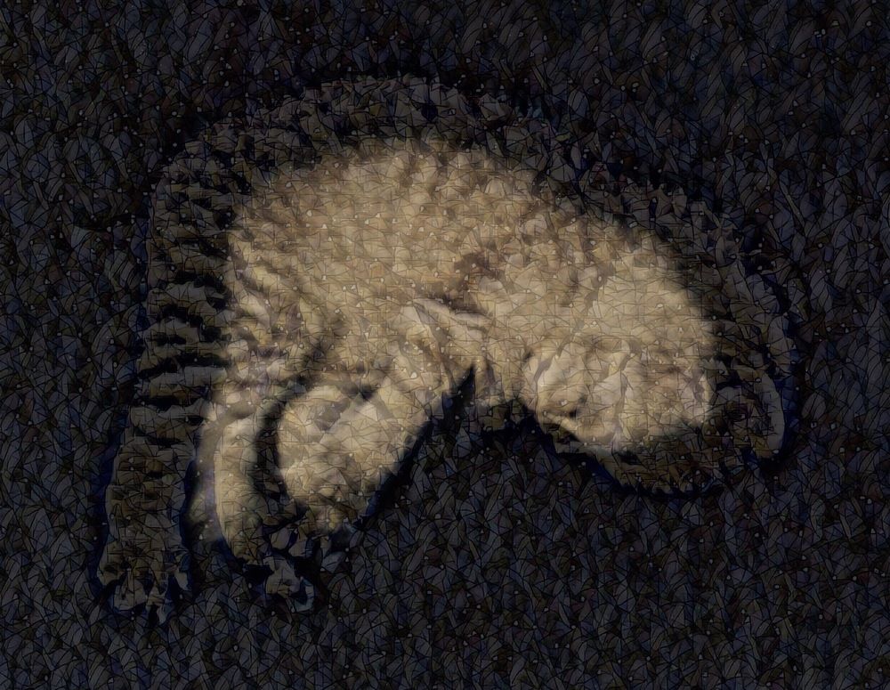 Photograph by Елена Ким