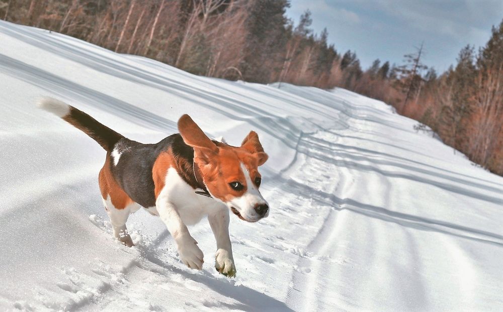 Photograph by Ирина Ахбаш