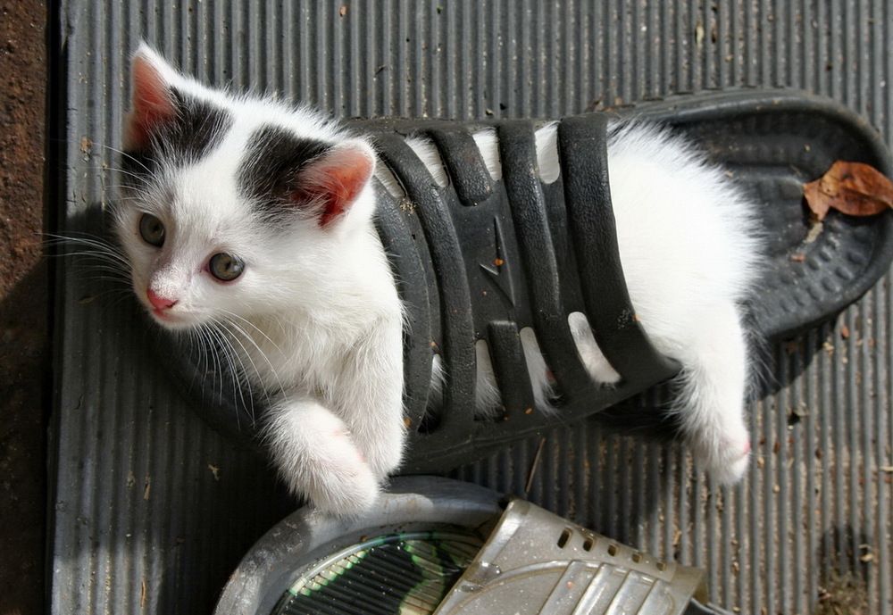 Photograph by вячеслав милов