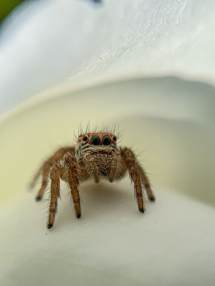 Photograph by Sandhi Sarda