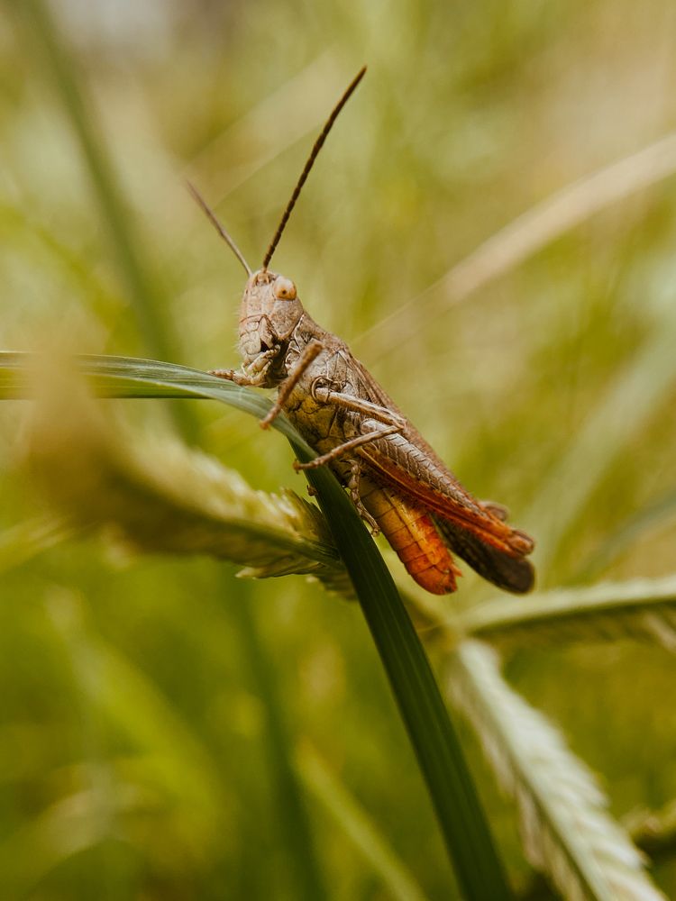 Photograph by Андрей Васильев
