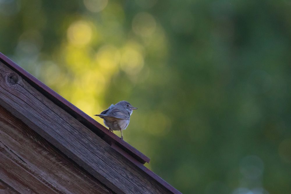 Photograph by Denis Schetinin