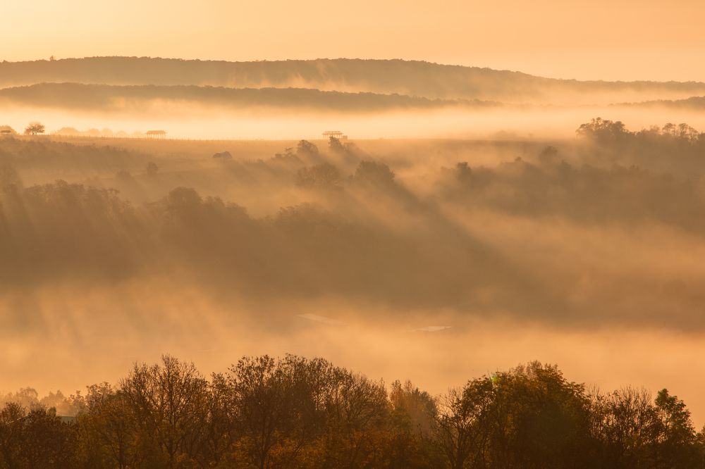 Photograph by Lukas Kulla