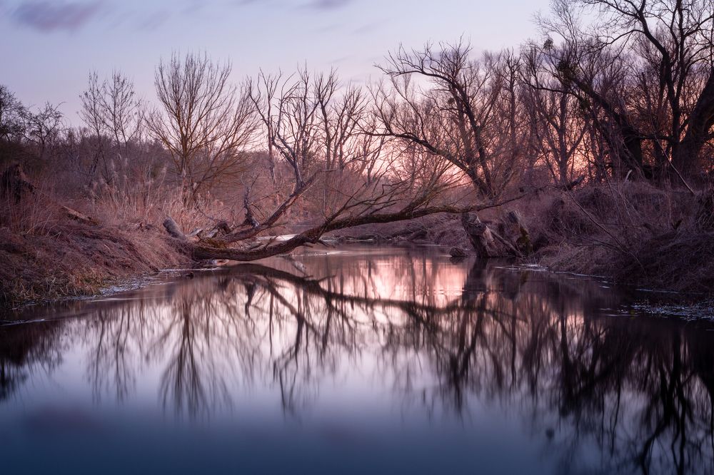 Photograph by Lukas Kulla