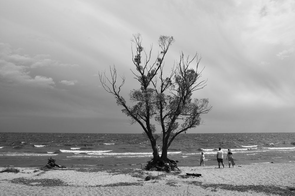 Photograph by Александр Калегин