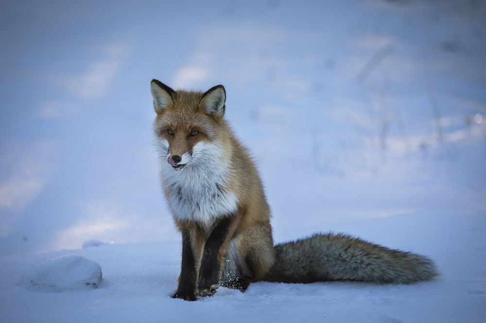 Photograph by Татьяна Борисова