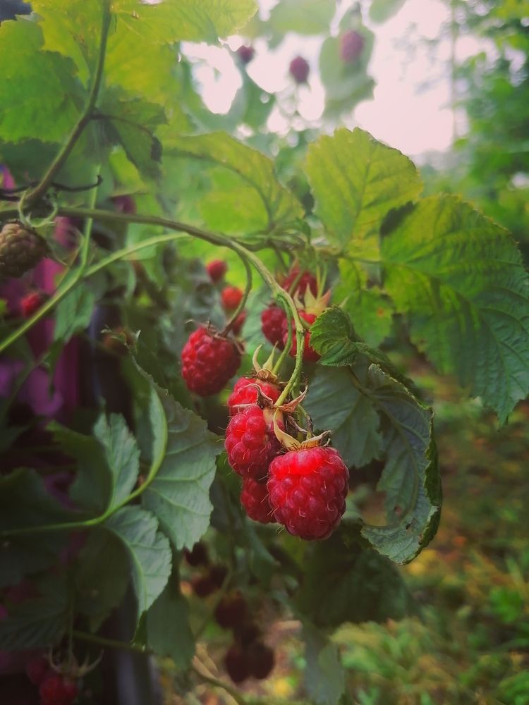 Photograph by Татьяна Бешенкина