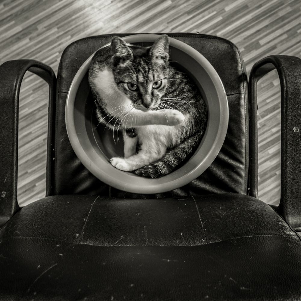 Photograph by Attila Szanto