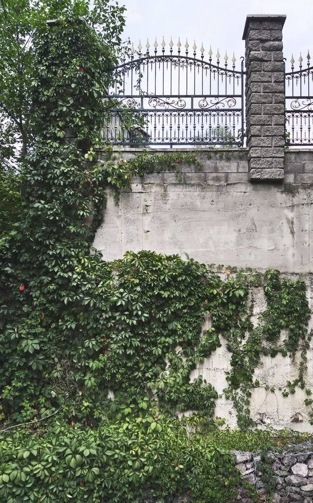 Фотография автора Анна Морозова