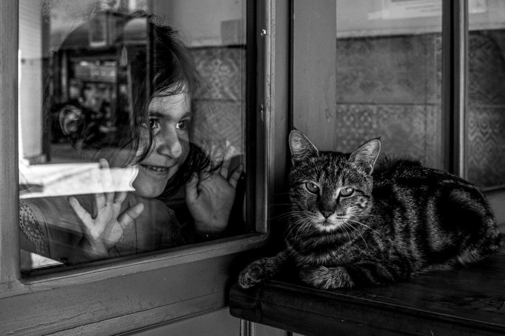 Photograph by Amirhossein Yousefi Keysari