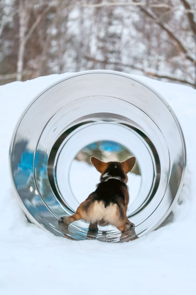 Photograph by Евграфов Александр