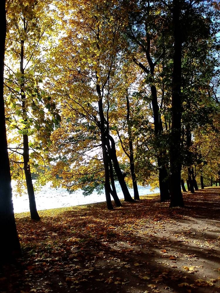 Photograph by Ольга Коркина