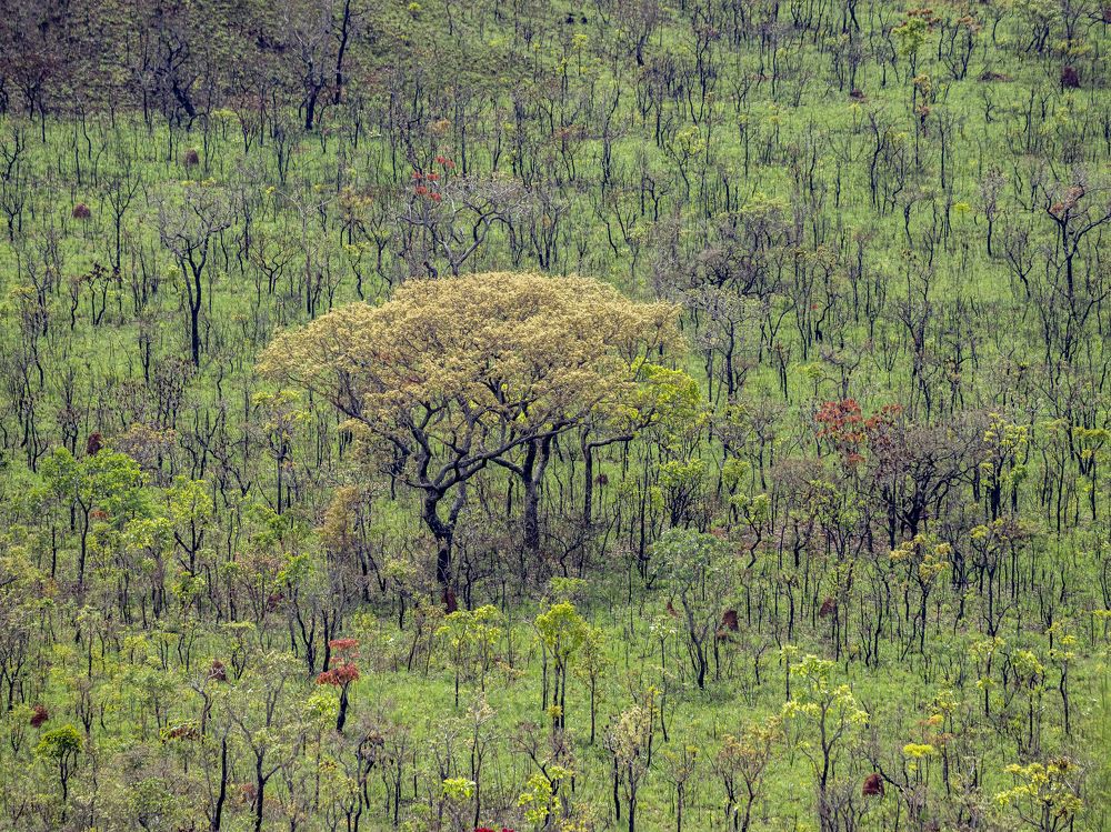 Photograph by Vinícius Souza