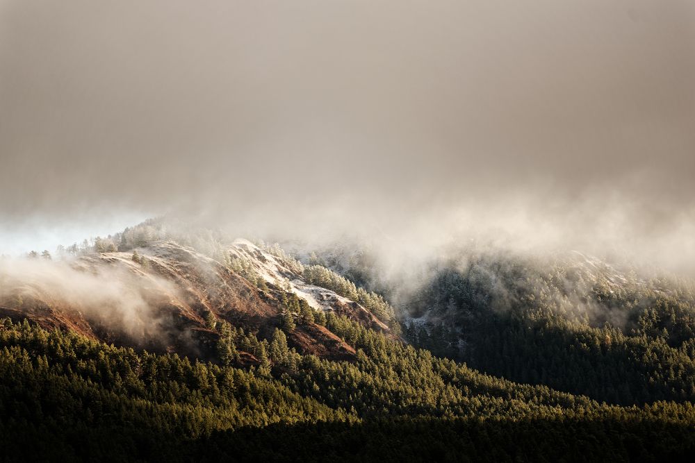 Photograph by Михаил Рогачев