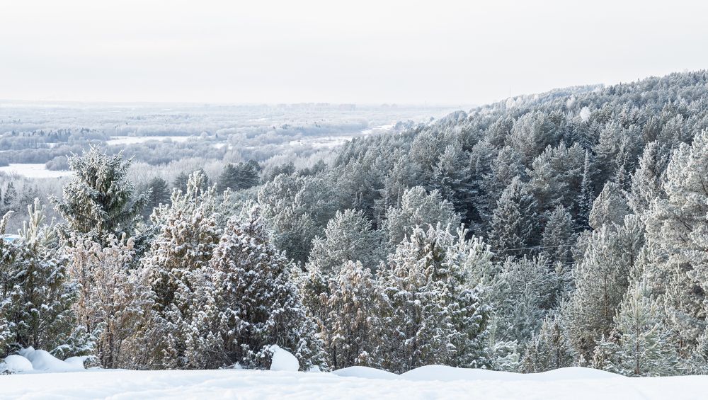 Photograph by Екатерина Родченкова