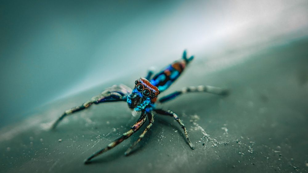 Photograph by Vijayakumar