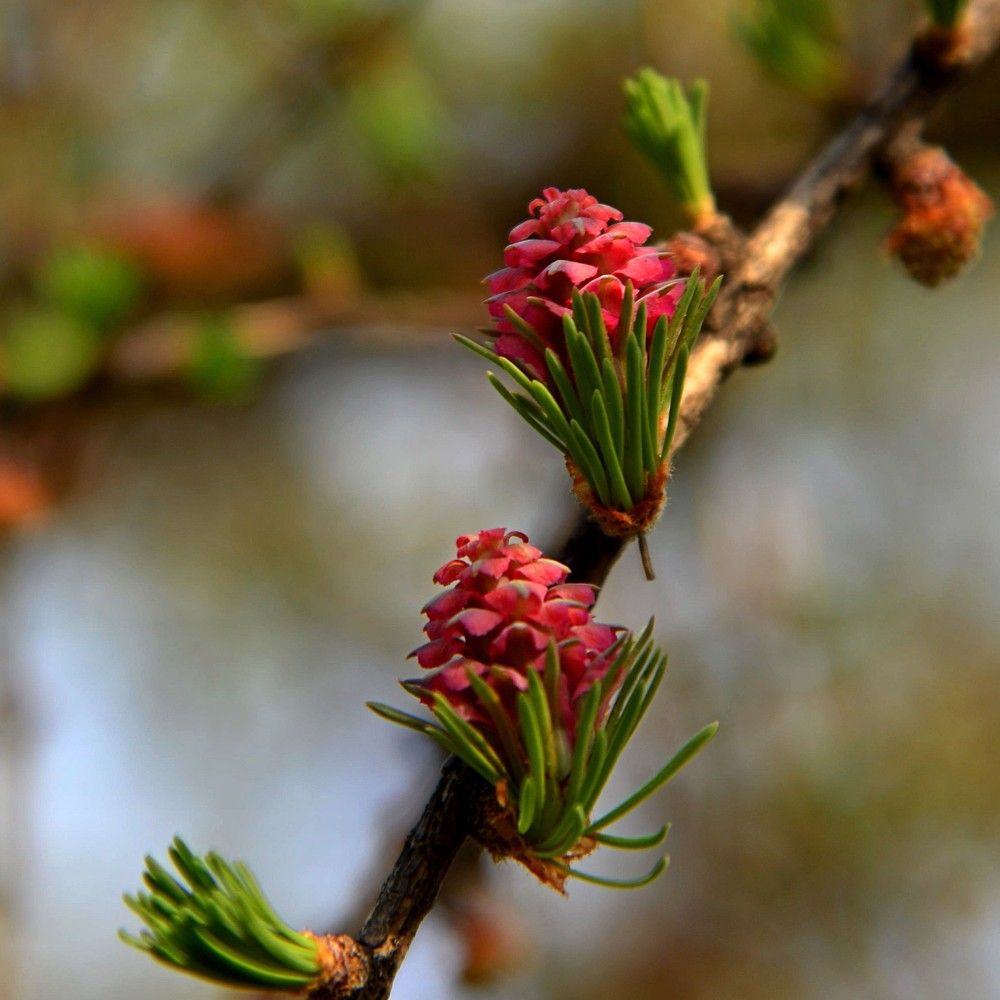 Photograph by Людмила