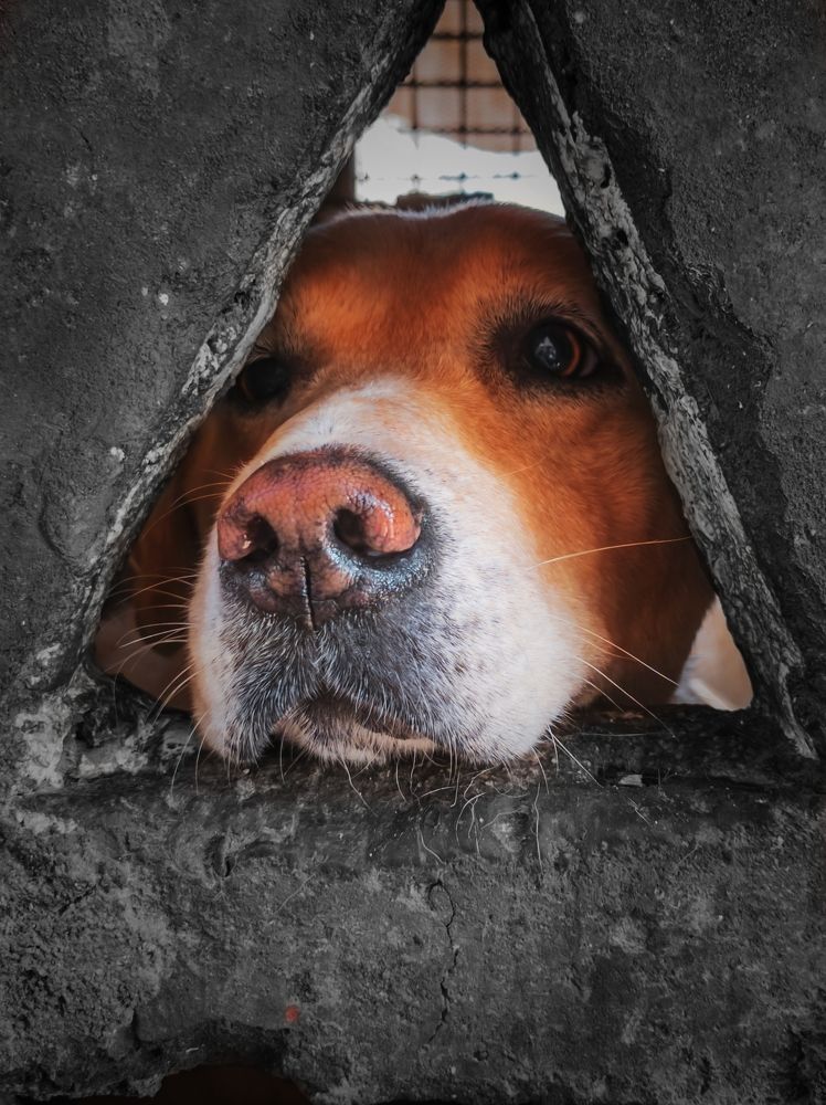 Фотография автора George Boules