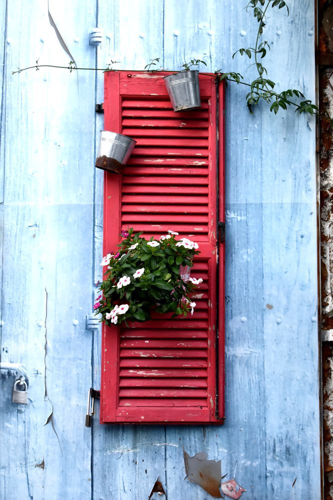 Photograph by RADOVAN TEODOROVIĆ