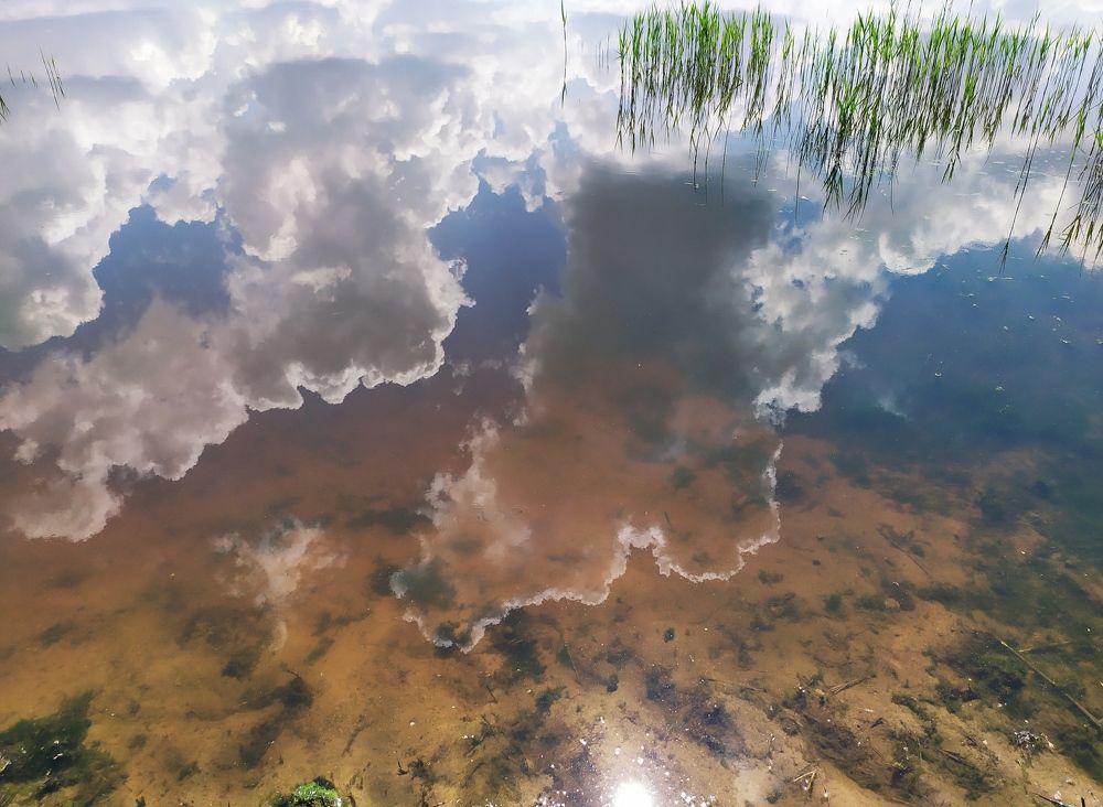 Photograph by Ирина