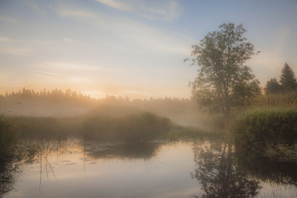 Photograph by Напалкин Станислав