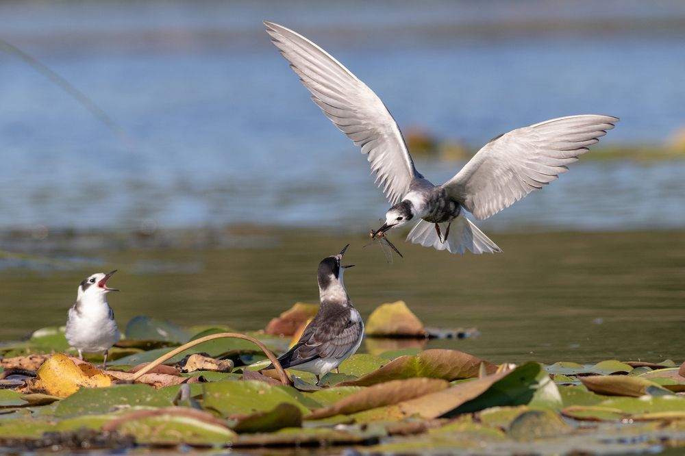 Photograph by Павел Краснослободцев
