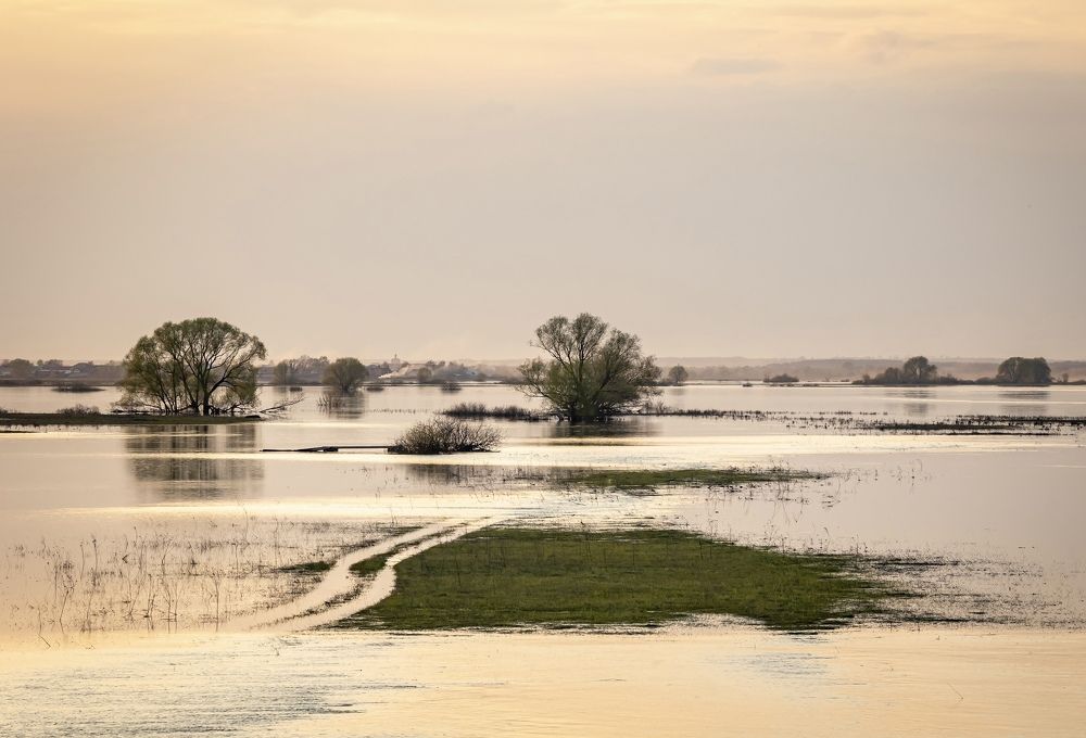 Photograph by Алексей Епишкин