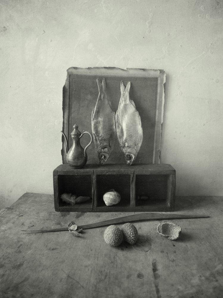 Photograph by Мария Сапего