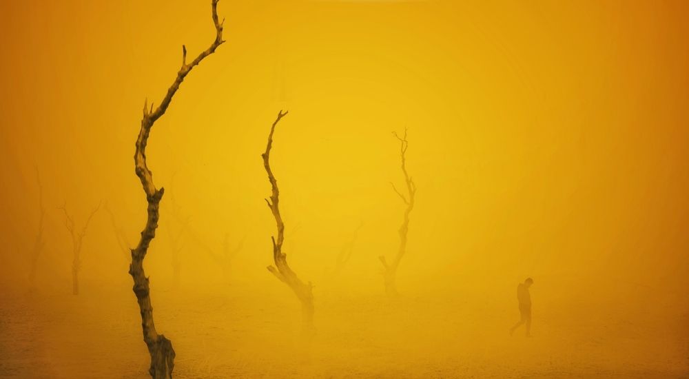 Фотография автора Alireza Bagheri sani