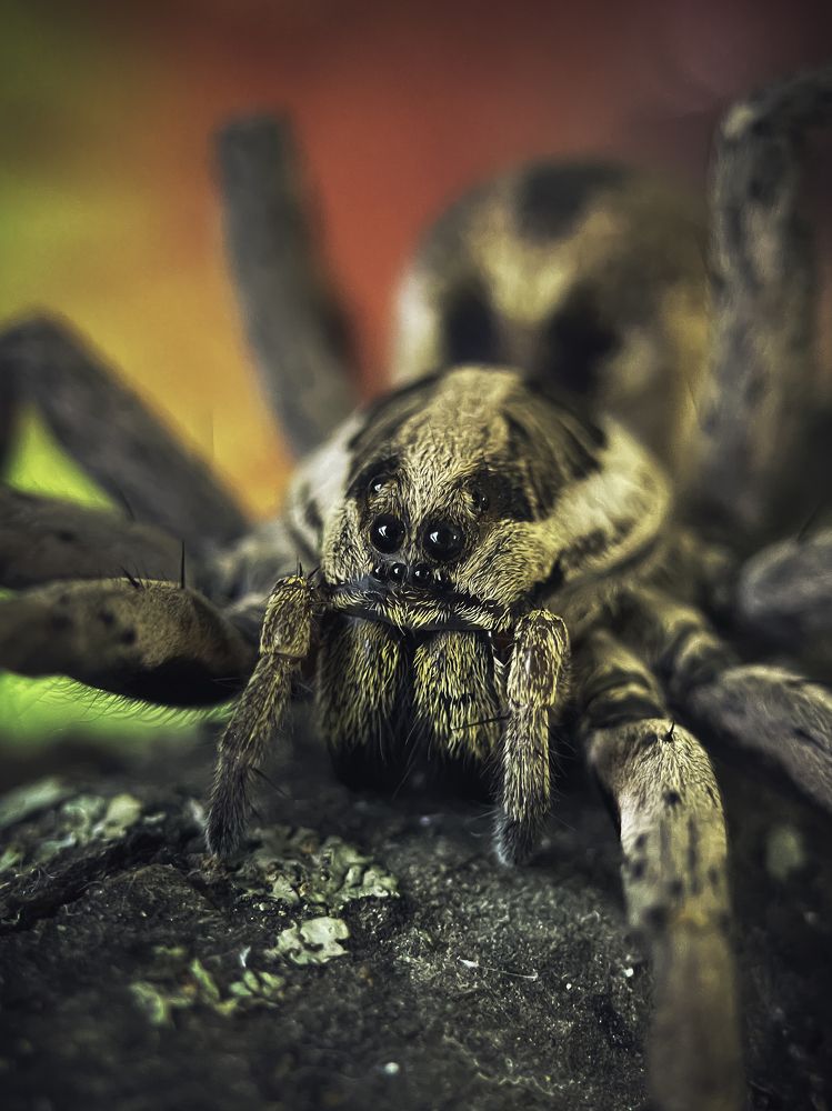 Photograph by Юрий Говорков