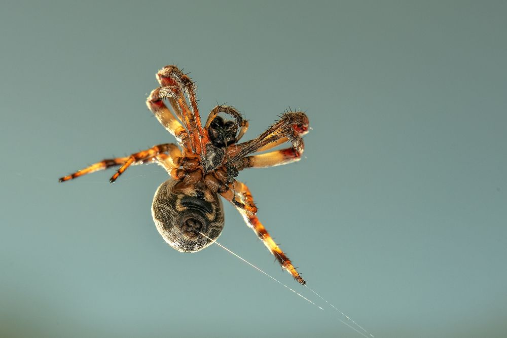 Photograph by Dragan Cerovic