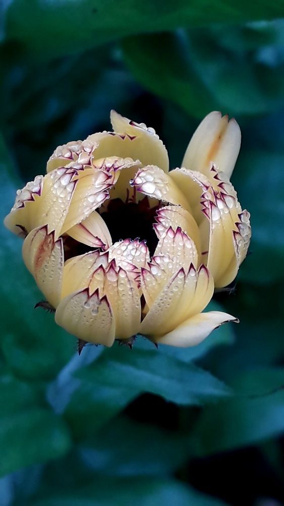 Photograph by Татьяна Солтан