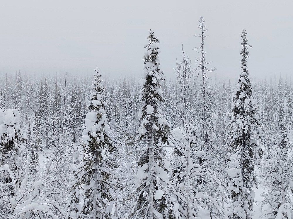 Photo #8894663