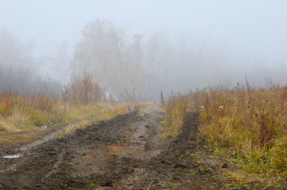 Photograph by Юрий Самойлов