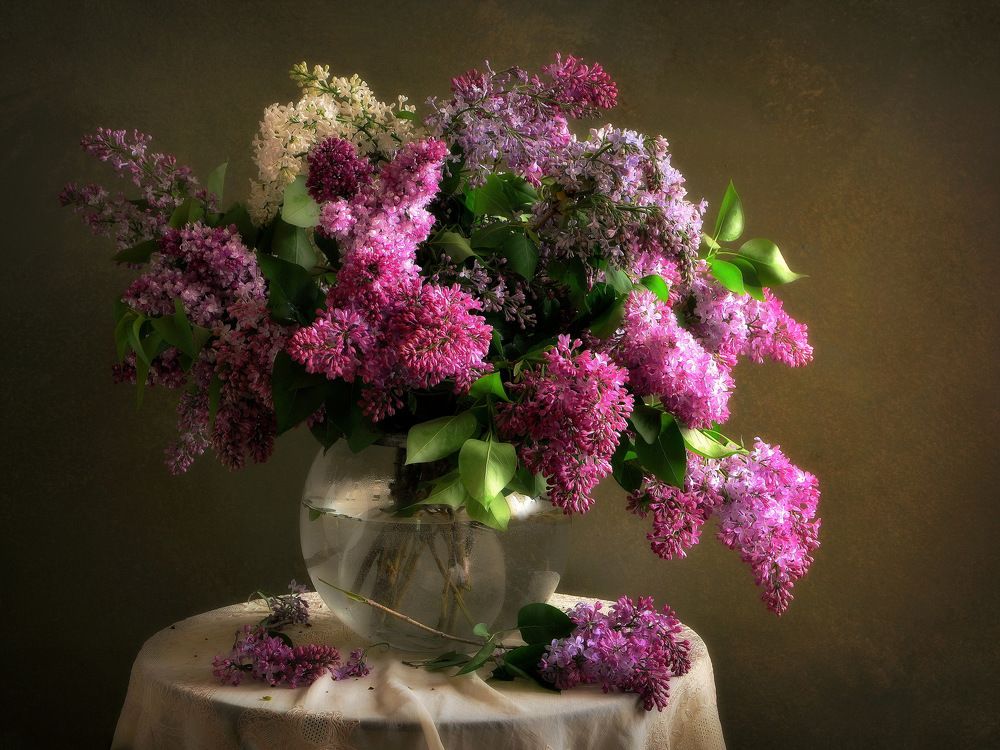 Photograph by Сергей Алексеев