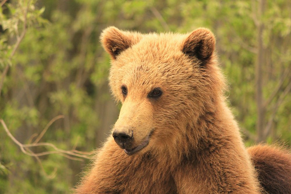 Photograph by Александр