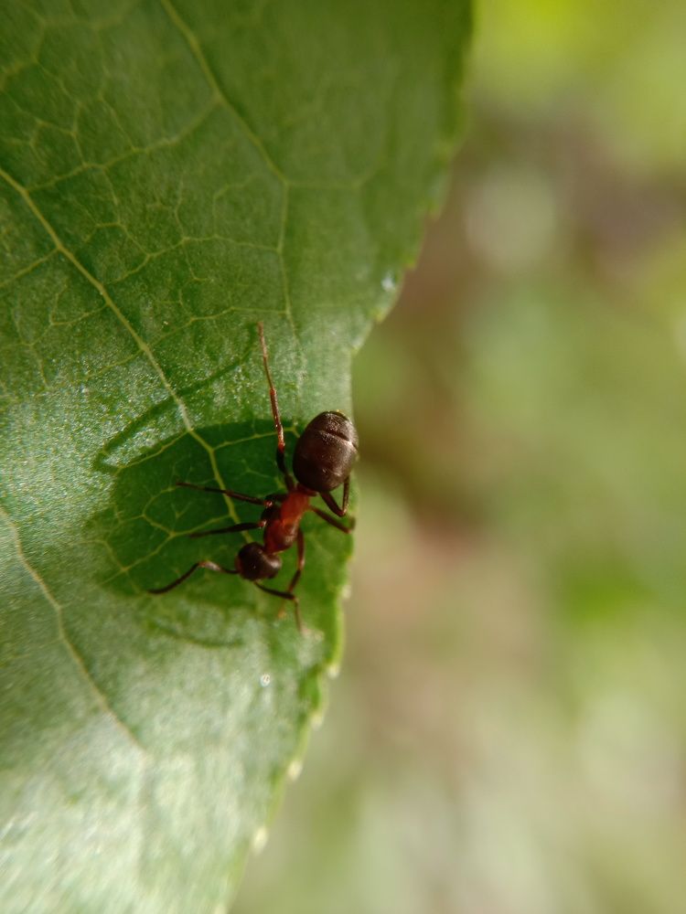 Photograph by Снежана Шепель