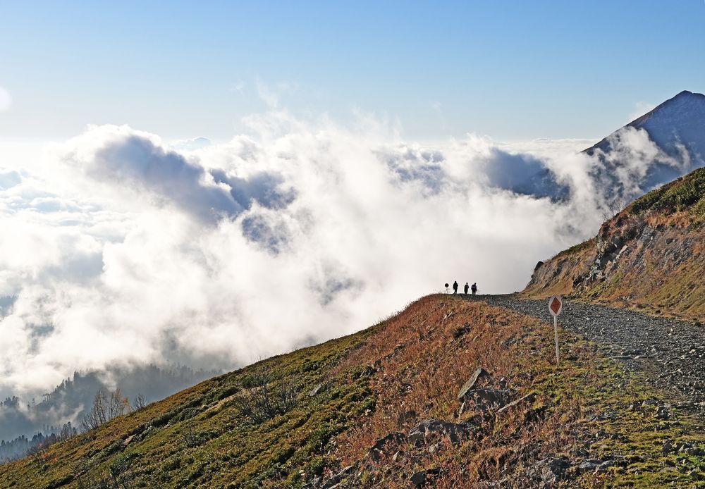 Photograph by Сергей Кривоносов