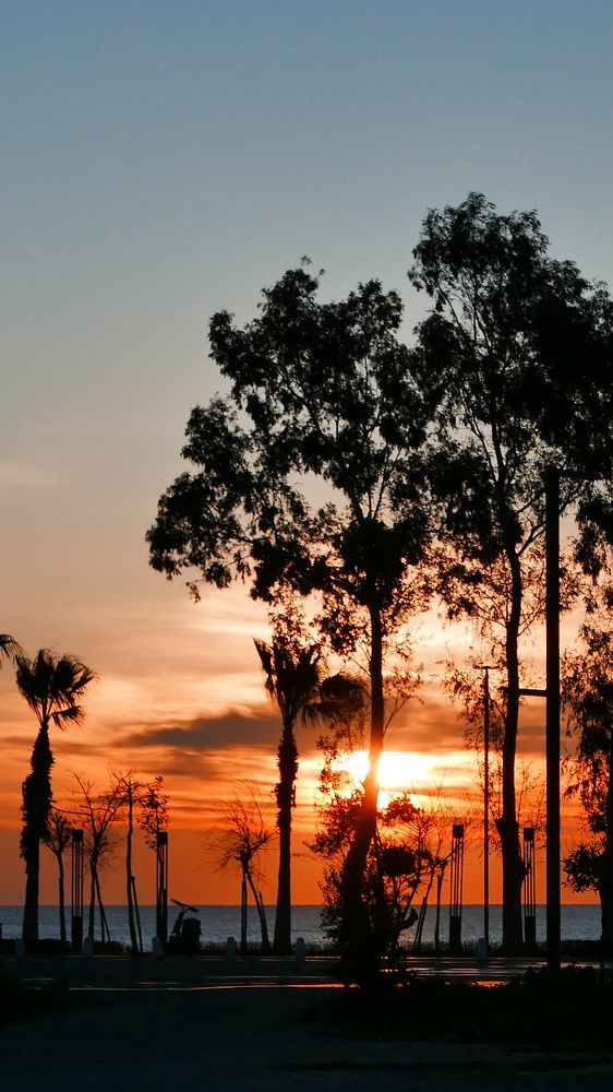 Photograph by Alp Aysgl